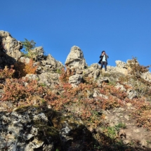 fc3d9019-28f2-42b5-b989-038e6a72642a-1_all_20242